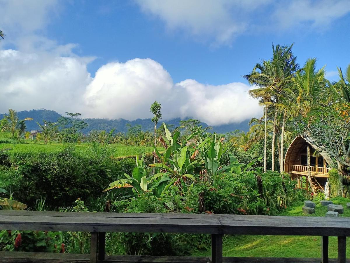 Jero Tumbuk Private Villa Selat Ngoại thất bức ảnh