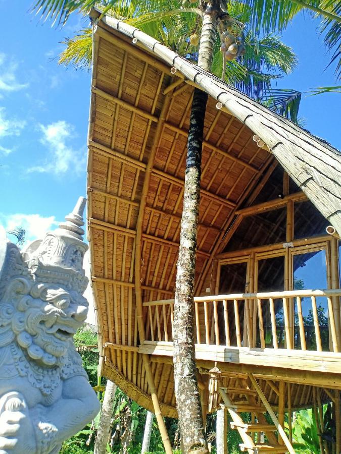 Jero Tumbuk Private Villa Selat Ngoại thất bức ảnh