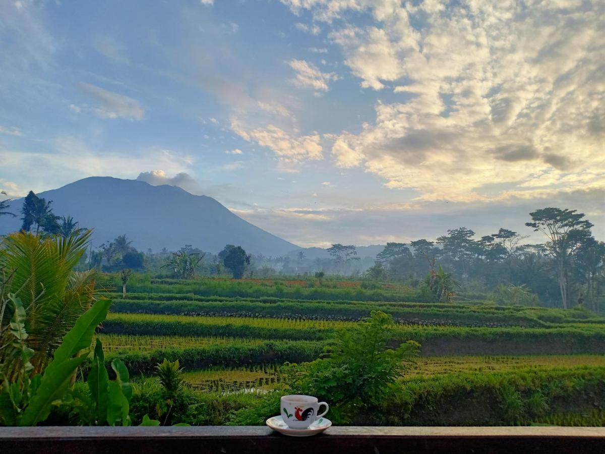 Jero Tumbuk Private Villa Selat Ngoại thất bức ảnh