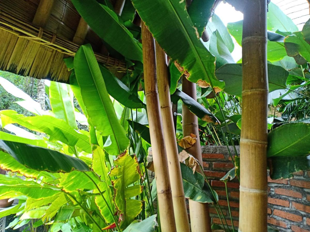 Jero Tumbuk Private Villa Selat Ngoại thất bức ảnh