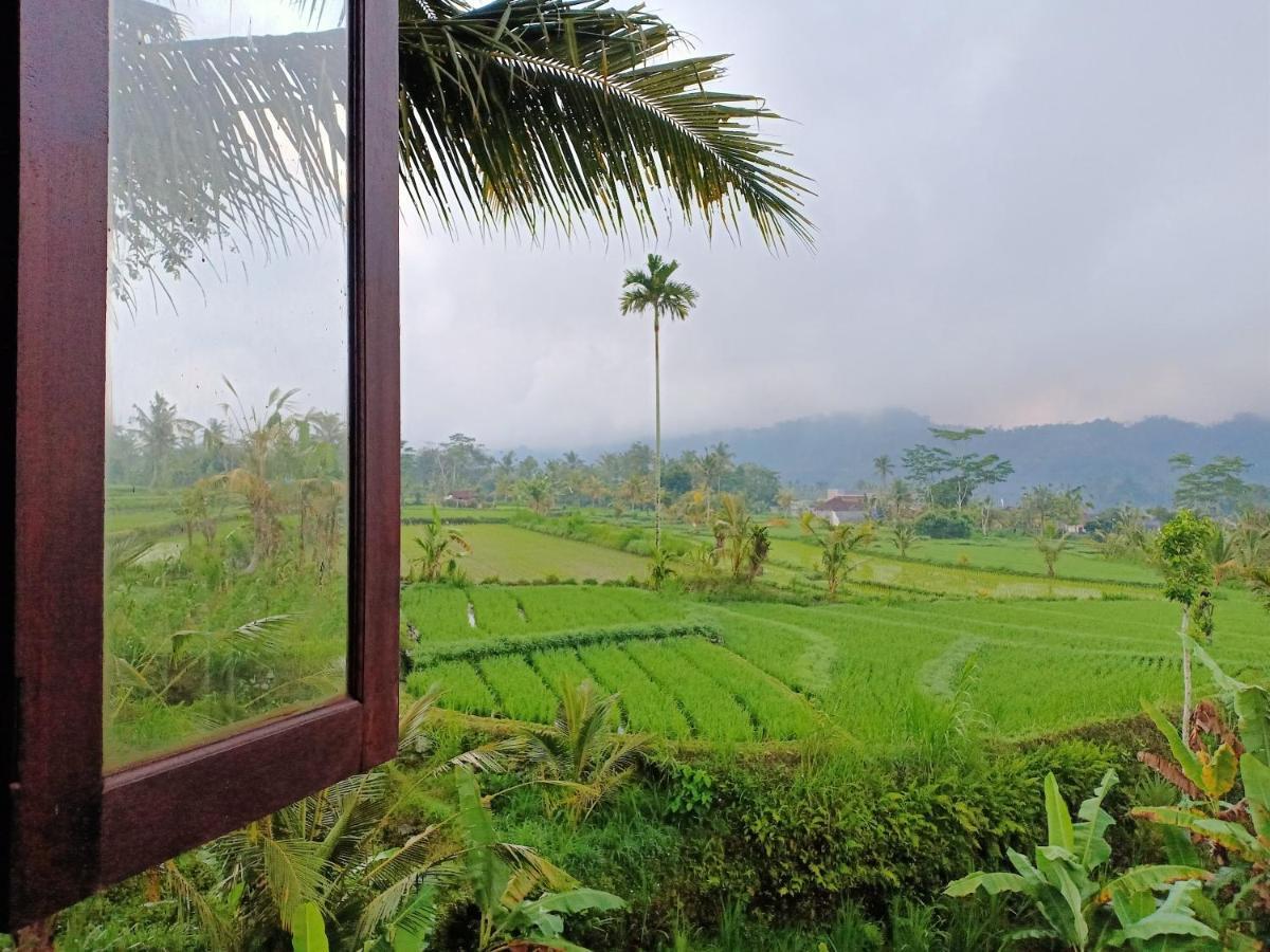 Jero Tumbuk Private Villa Selat Ngoại thất bức ảnh
