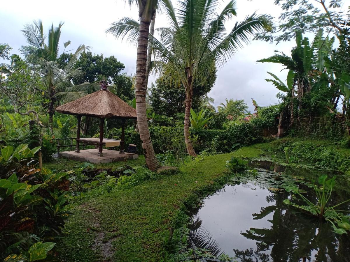 Jero Tumbuk Private Villa Selat Ngoại thất bức ảnh