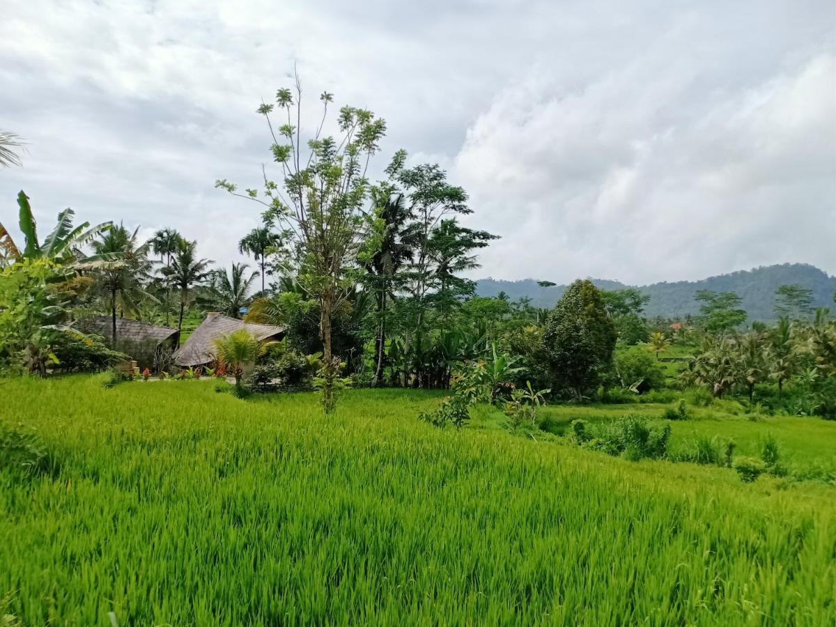 Jero Tumbuk Private Villa Selat Ngoại thất bức ảnh