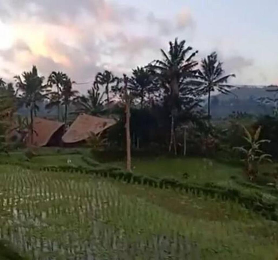 Jero Tumbuk Private Villa Selat Ngoại thất bức ảnh