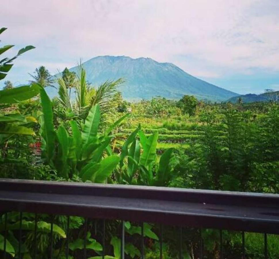 Jero Tumbuk Private Villa Selat Ngoại thất bức ảnh