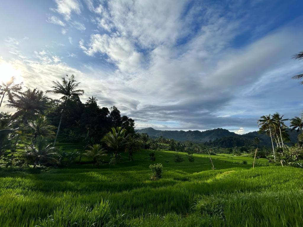 Jero Tumbuk Private Villa Selat Ngoại thất bức ảnh