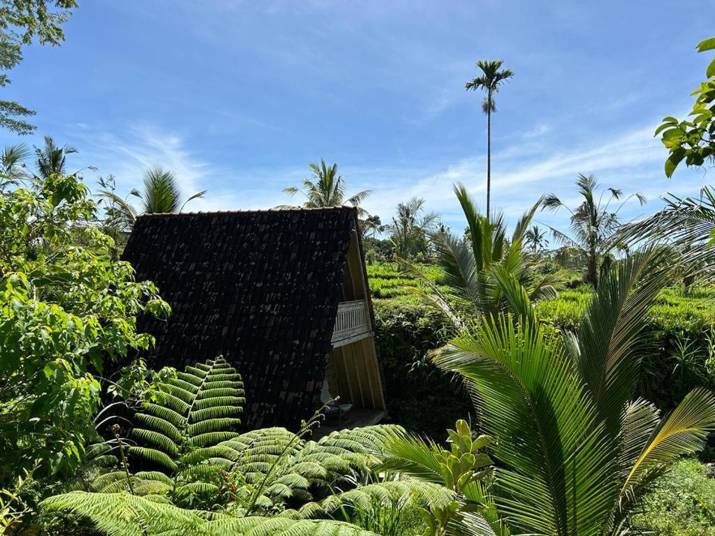 Jero Tumbuk Private Villa Selat Ngoại thất bức ảnh