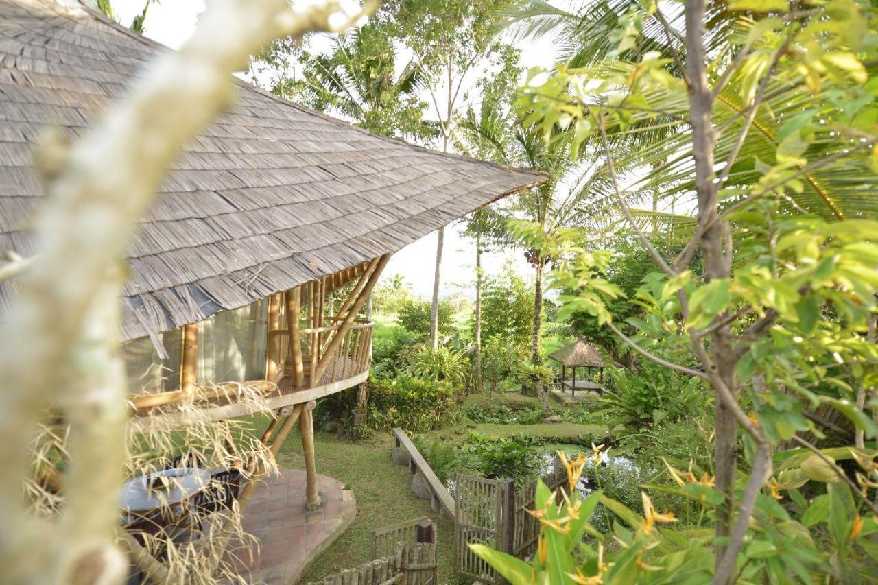 Jero Tumbuk Private Villa Selat Ngoại thất bức ảnh