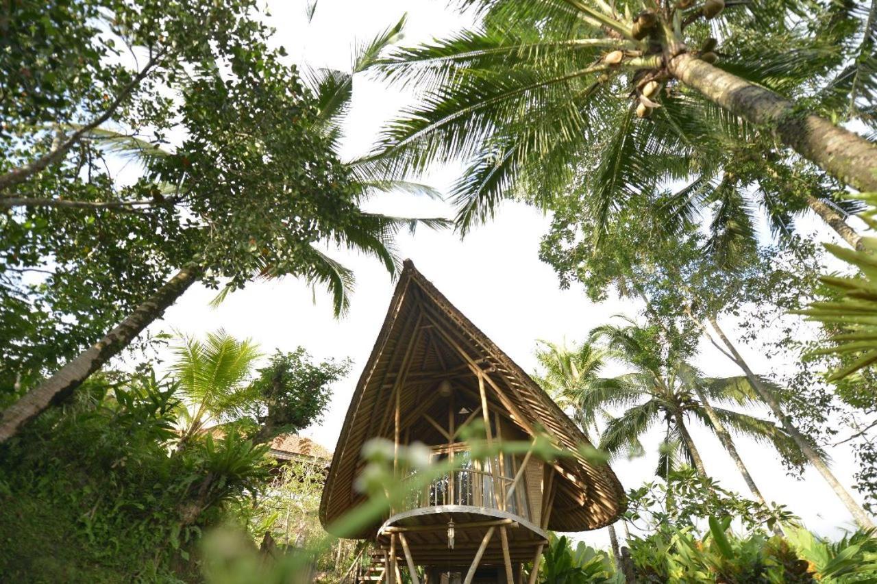 Jero Tumbuk Private Villa Selat Ngoại thất bức ảnh