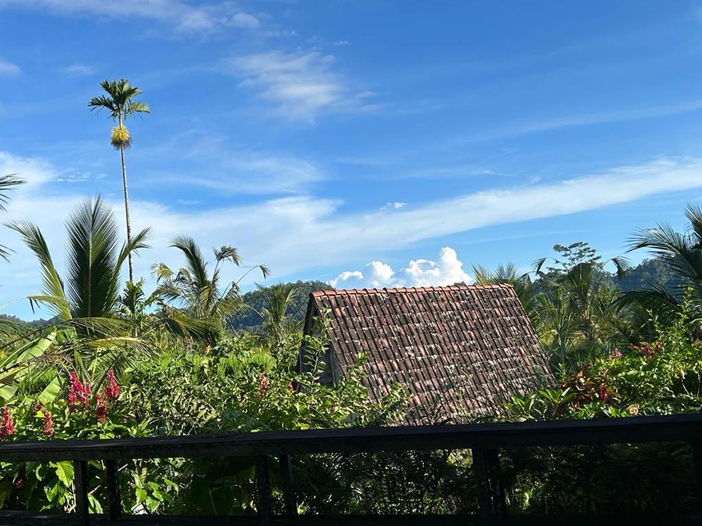 Jero Tumbuk Private Villa Selat Ngoại thất bức ảnh