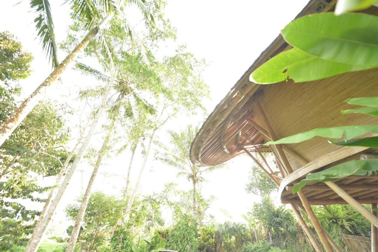 Jero Tumbuk Private Villa Selat Ngoại thất bức ảnh