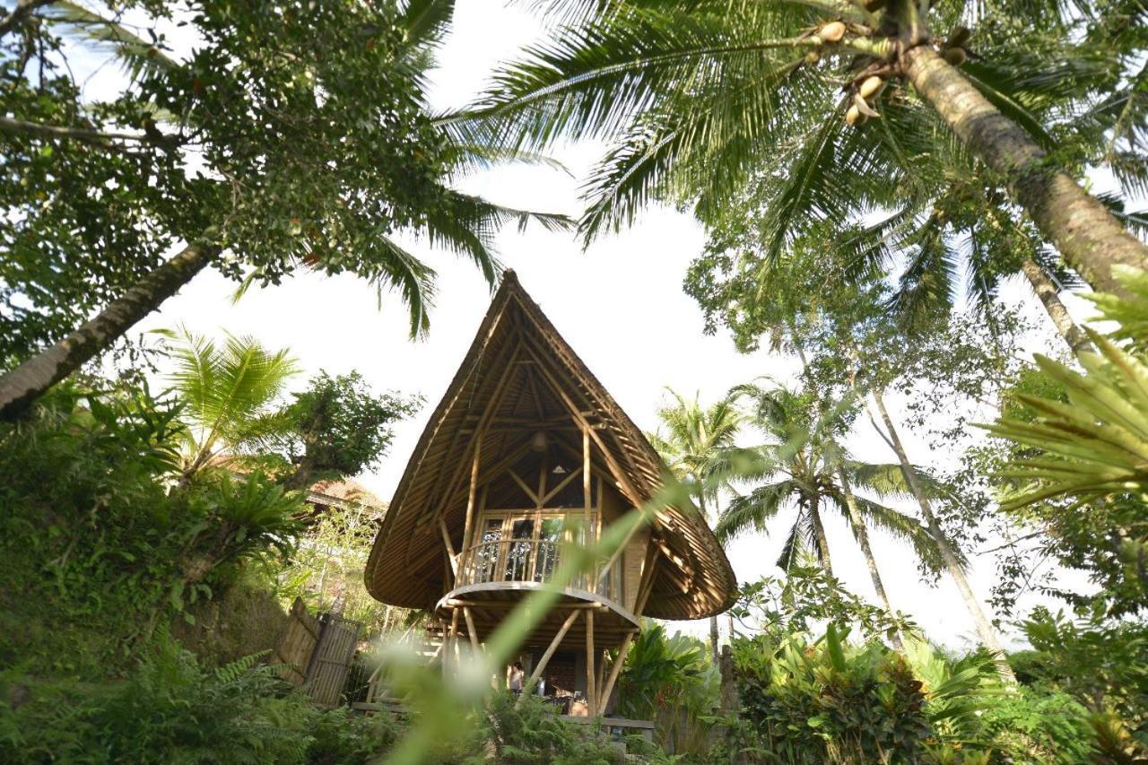 Jero Tumbuk Private Villa Selat Ngoại thất bức ảnh